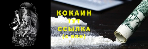 спайс Алзамай