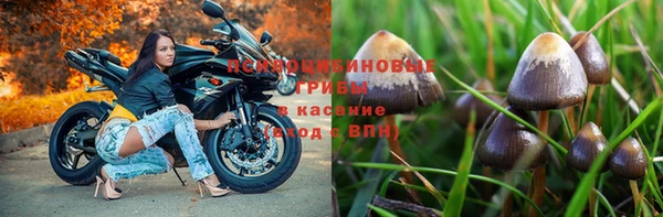 МДПВ Нягань