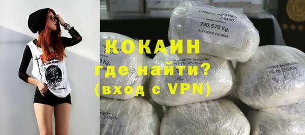 спайс Алзамай