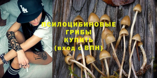 спайс Алзамай