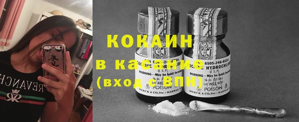 спайс Алзамай