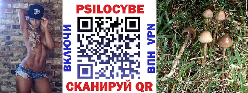 где купить наркоту  Электрогорск  Галлюциногенные грибы мицелий 