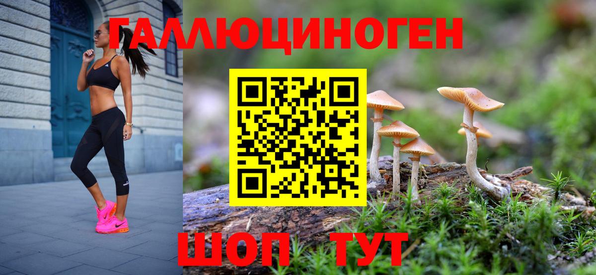 даркнет сайт  Псилоцибиновые грибы прущие грибы  Вход с VPN  Электрогорск 